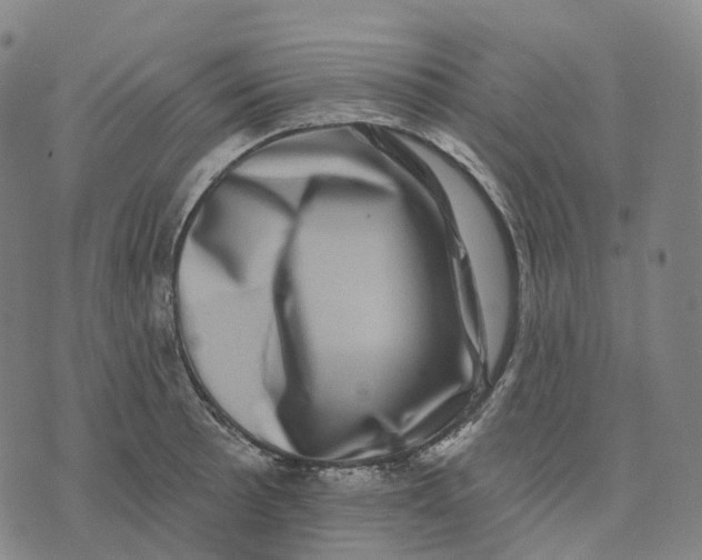 X0000074261089200609151755