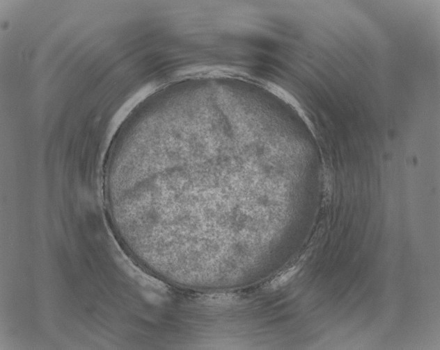 X0000074261090200609151755