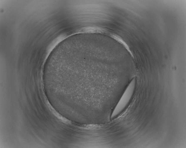 X0000074261091200609151755