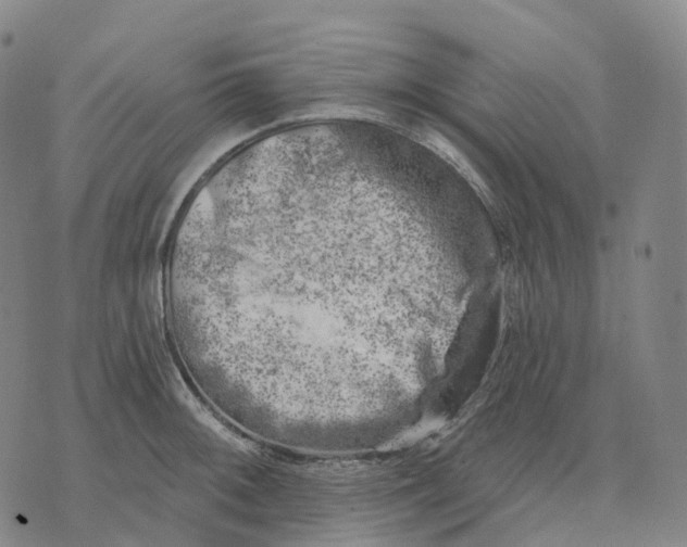 X0000074261092200609151755