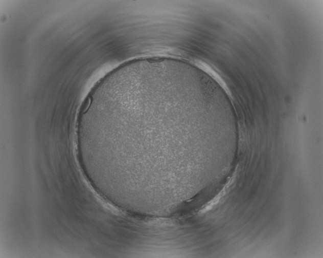 X0000074261093200609151755