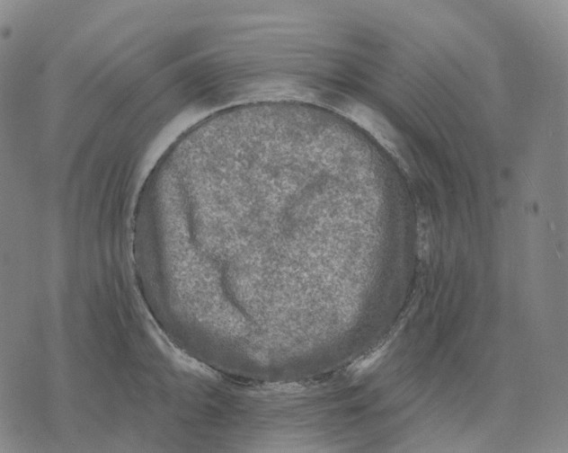 X0000074261094200609151755