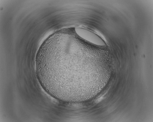 X0000074261095200609151755