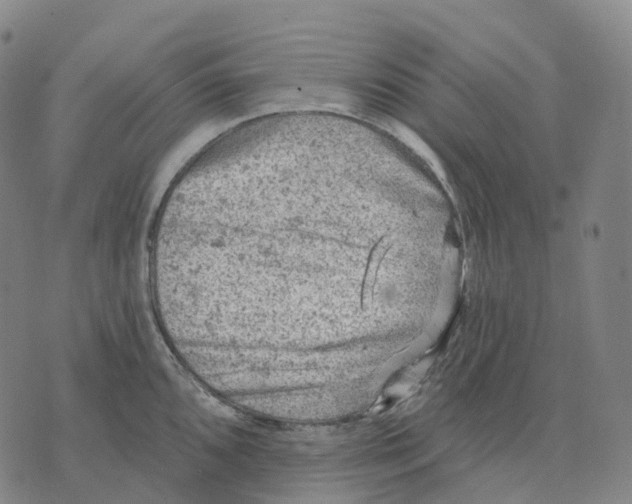 X0000074261096200609151755