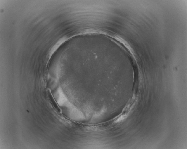 X0000074261097200609151755