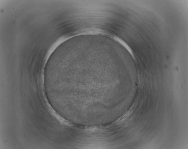 X0000074261099200609151755