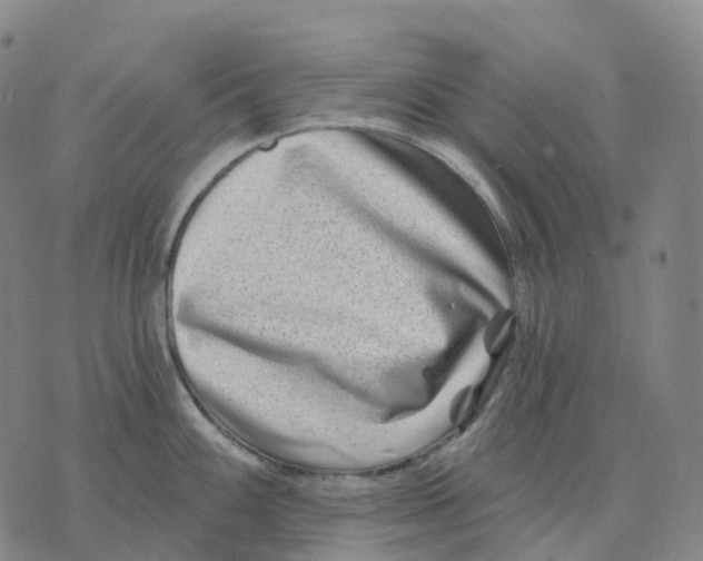 X0000074261100200609151755