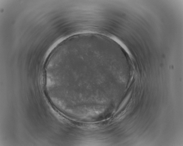 X0000074261101200609151755