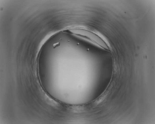 X0000074261102200609151755