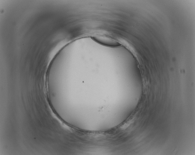 X0000074261103200609151755