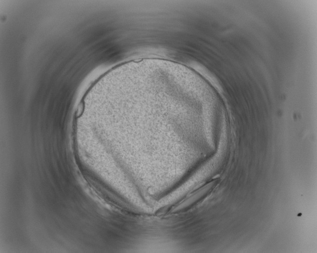 X0000074261104200609151755