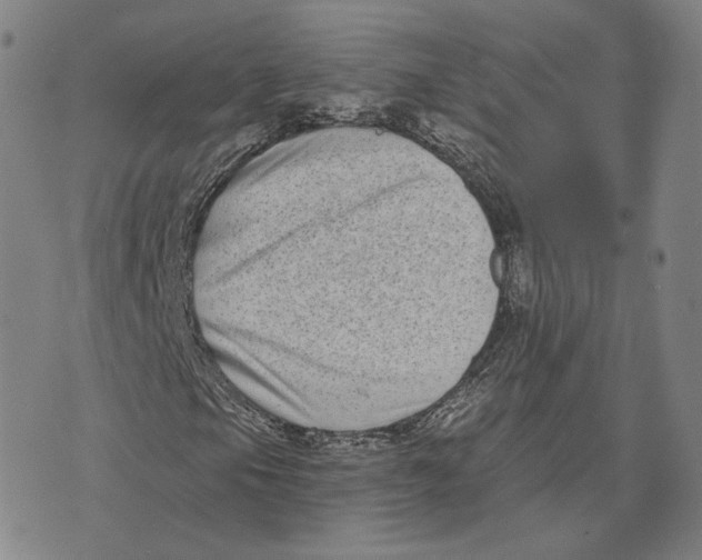 X0000074261105200609151754