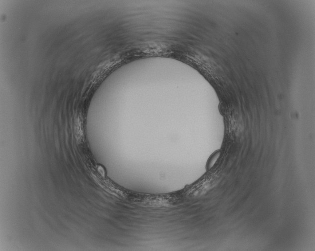 X0000074261106200609151754