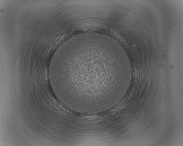 X0000074261108200609151754