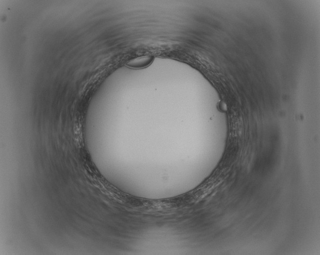 X0000074261109200609151754