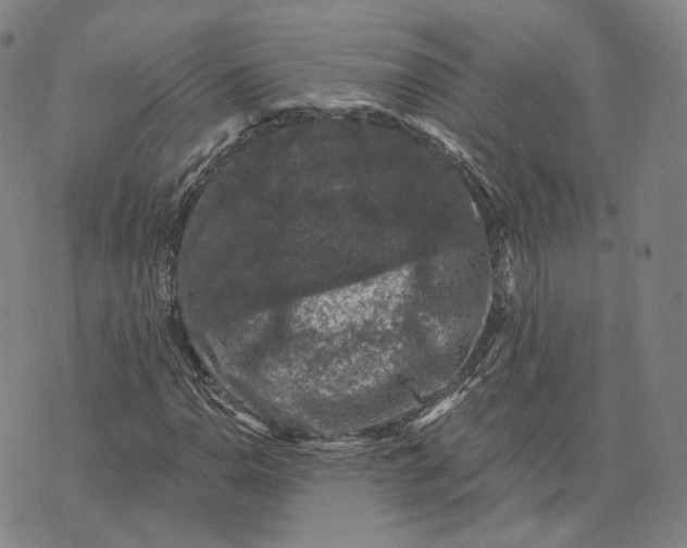 X0000074261110200609151754