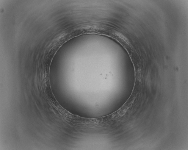 X0000074261111200609151754