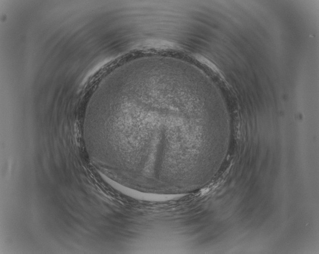 X0000074261112200609151754