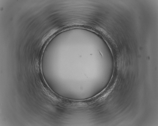 X0000074261113200609151754