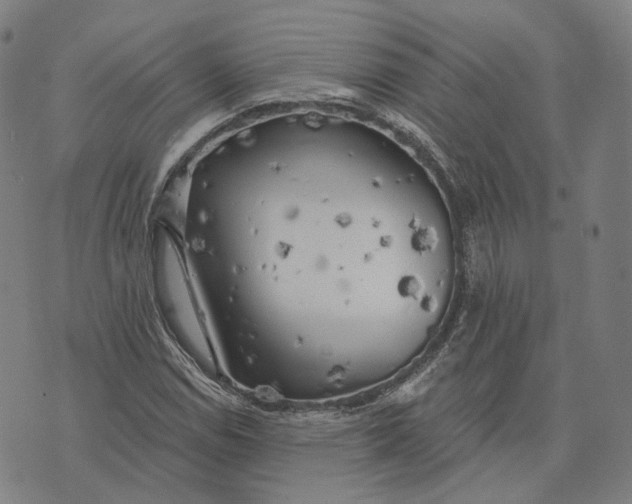 X0000074261114200609151754