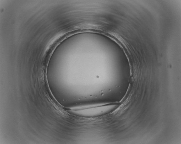 X0000074261115200609151754