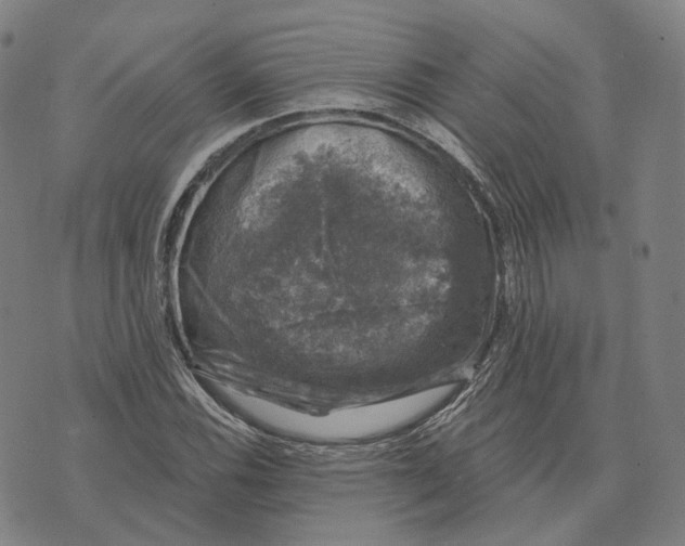 X0000074261116200609151754