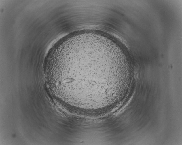 X0000074261117200609151754