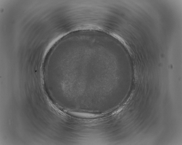 X0000074261120200609151754