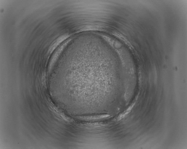 X0000074261121200609151754