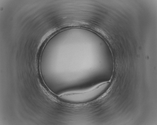 X0000074261122200609151754