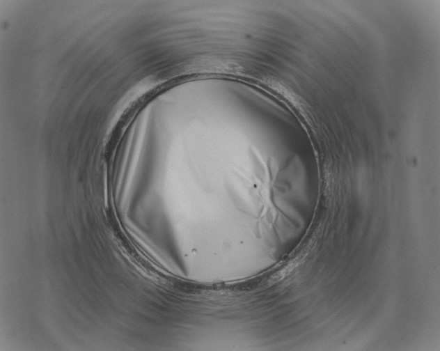 X0000074261123200609151754