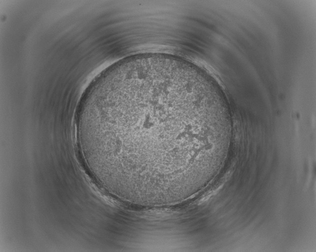 X0000074261125200609151754