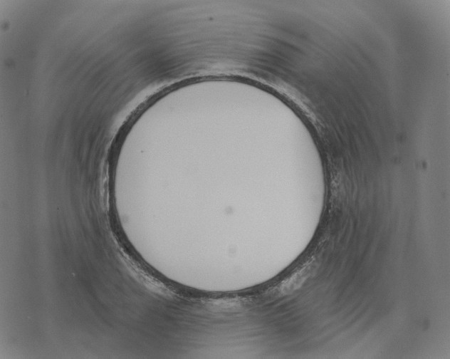 X0000074261126200609151754