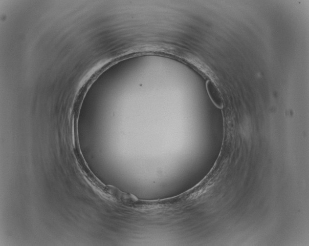 X0000074261127200609151754