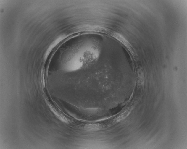 X0000074261128200609151754