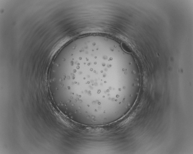 X0000074261129200609151754