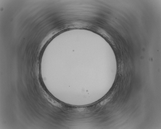 X0000074261130200609151754