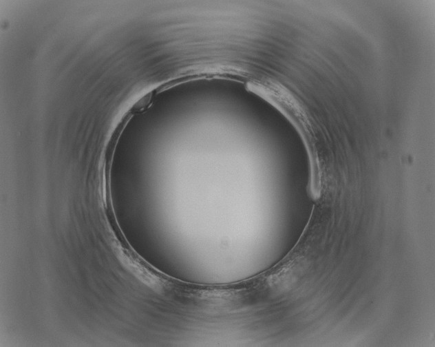 X0000074261132200609151755