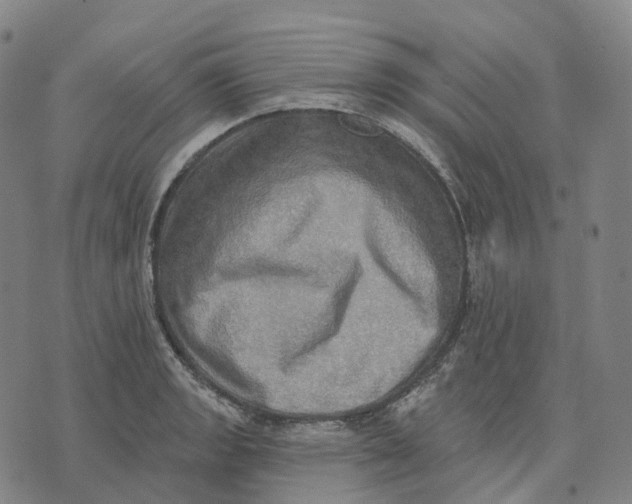 X0000074261133200609151755