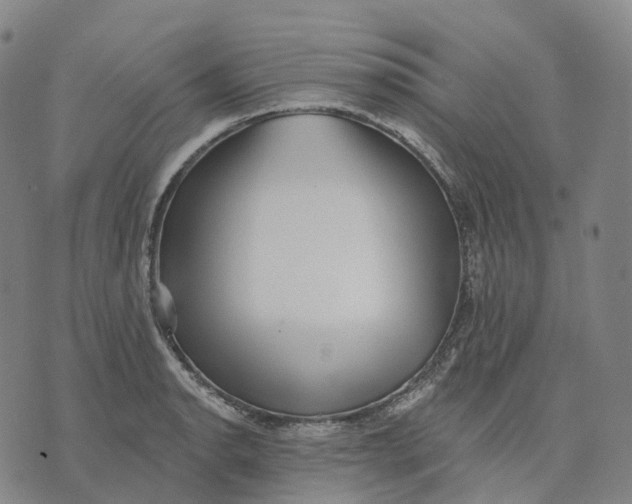 X0000074261134200609151755