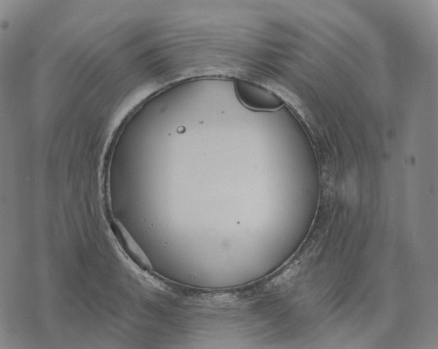 X0000074261135200609151755