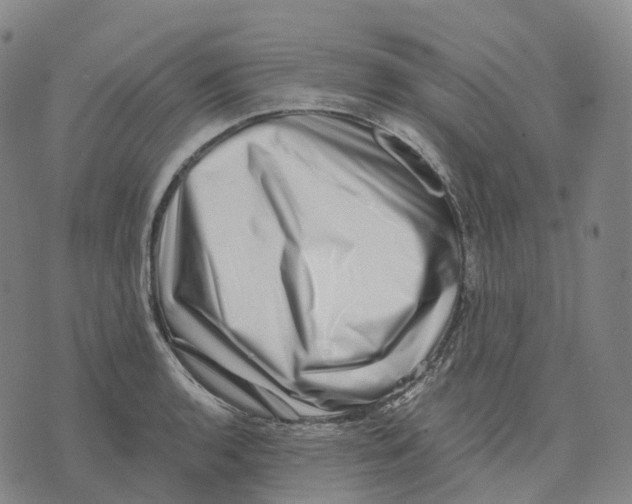 X0000074261136200609151755