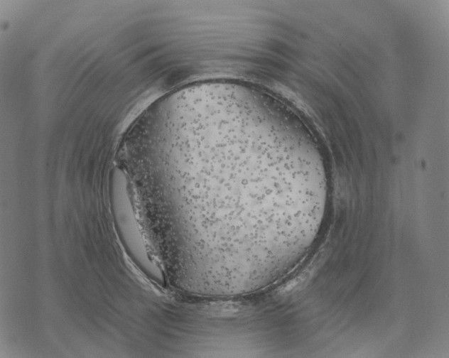 X0000074261137200609151755