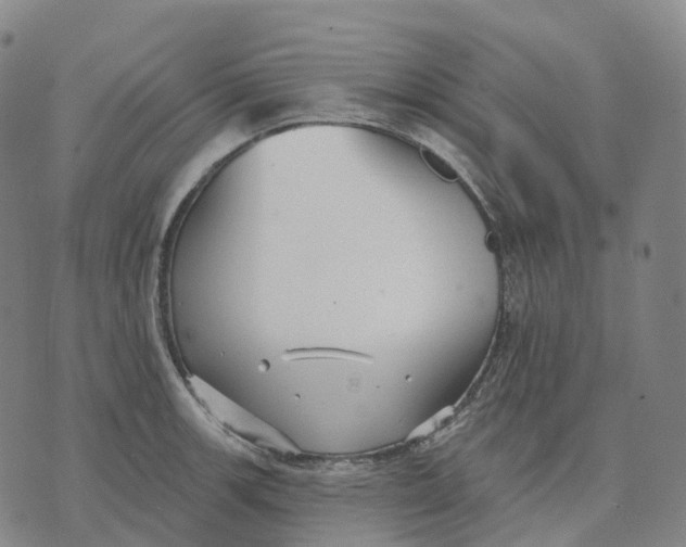 X0000074261139200609151755