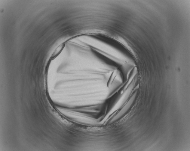 X0000074261140200609151755