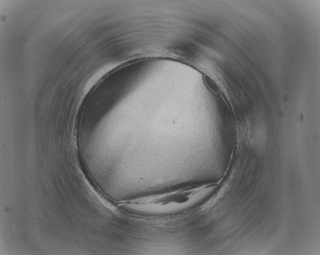 X0000074261141200609151755