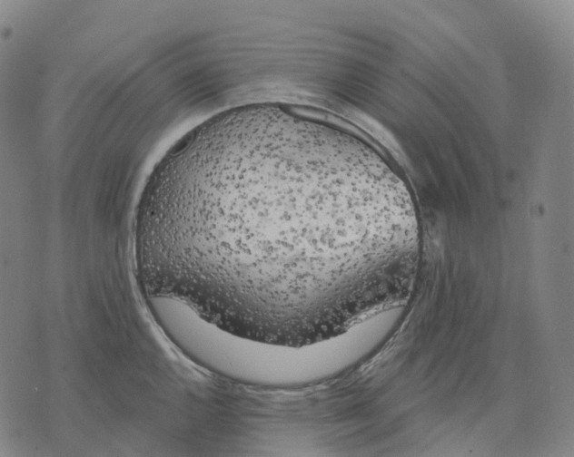 X0000074261144200609151755