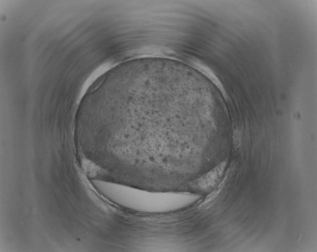 X0000074261146200609151755