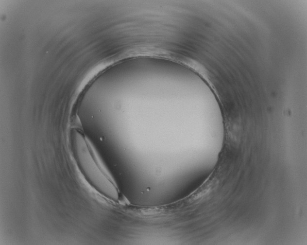 X0000074261147200609151755