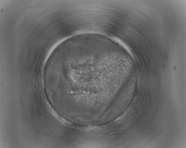 X0000074261148200609151755